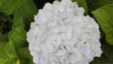 Casa da Tia Avelina - Photo 2