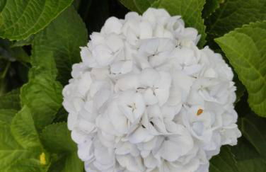 Casa da Tia Avelina - Photo 2