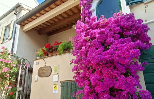 Appartamento Maria Vittoria - Morciano di Romagna - Foto 13