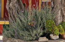 Pelekas Beach Apartments Rolling Stone - Foto 79