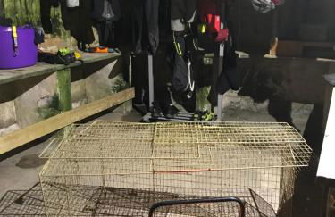 Thurdistoft Farmhouse, Dunnetbay accommodation - Foto 21