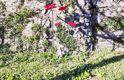 Holiday Home Papaveri e Papere by Interhome - Photo 8