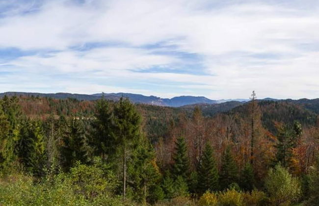 Secluded Holiday Home with Hot Tub in Kozji Vrh - Foto 23