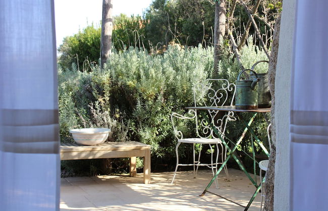 Albero Capovolto Country & Sea - Foto 13