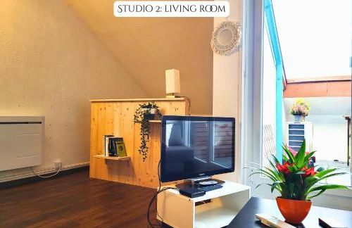 2 Soundproof Fully Equipped Studios near Geneva Airport - Photo 25