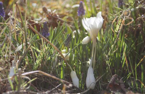 Ferienwohnung "Eifelstueffje" - Foto 75