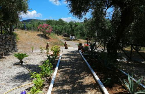 B&B Borgo San Antonio - Foto 14