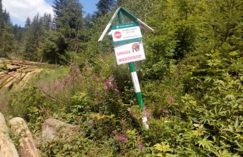 Villa Róża - Foto 31