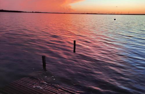 Auszeit vom Alltag in urigem Ferienhaus in idyllischer Natur im Dümmer-Weserland, Sauna & Kraniche - Foto 17