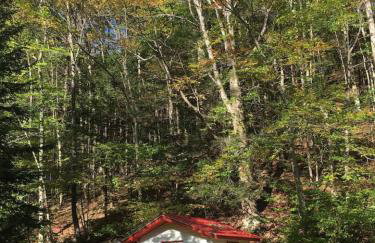 Catskill Cabin Duplex Apartment - Foto 28