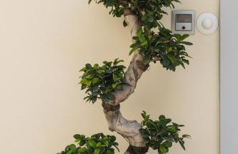 Palamoutaki Villa - Foto 73