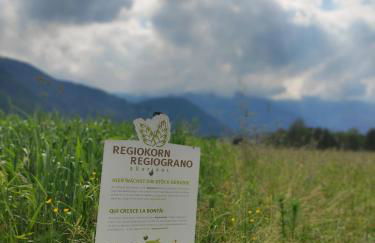 Maurerhof Apartments Kronplatz - Foto 16