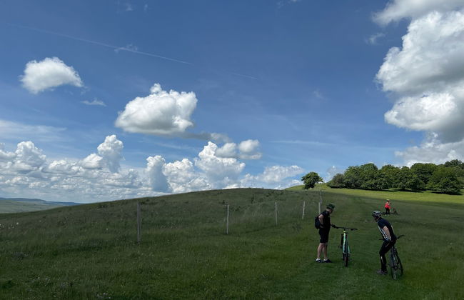 Aki Gray Apartment Serene Oasis - Photo 80
