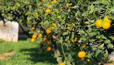 The Chill Casa - Foto 4