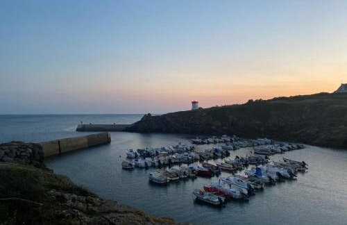 Maison jardin bord de mer Bretagne authentique - Foto 42