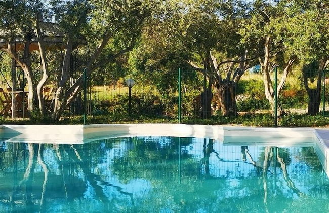 la corte degli ulivi - Foto 1