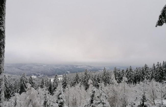 Holiday Home in Suhl Near Rennsteig Trail - Foto 29