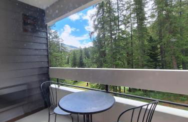 Studio 4p Chaleureux aux pieds des pistes & vue Pelvoux II - Foto 14