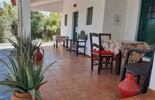 Horta do Muro - Foto 7