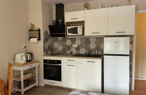 Studio meublé 26m² refait à neuf - Foto 5