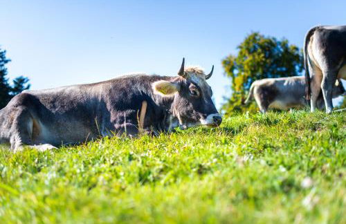 Plattner-Hof - Foto 39