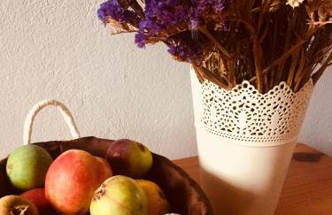 Anastasios Olive Garden Apartments - Foto 43