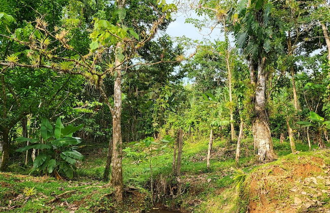 Jaco-carara 3 Bdrm Surrounded by Rainforest With Private Pool - Foto 44