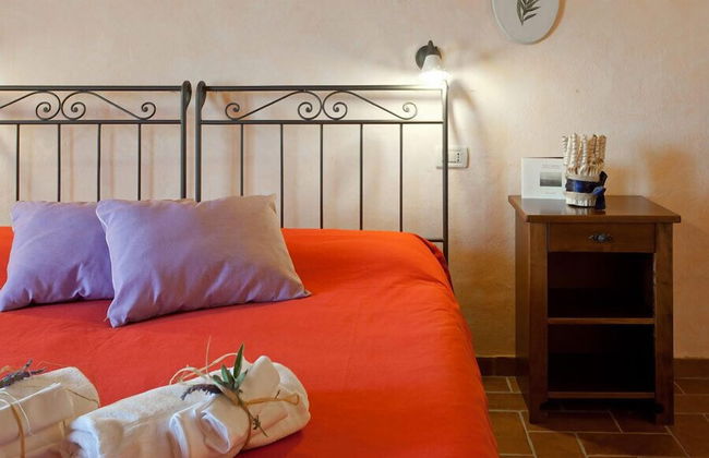 Fattoria Fibbiano - Foto 5