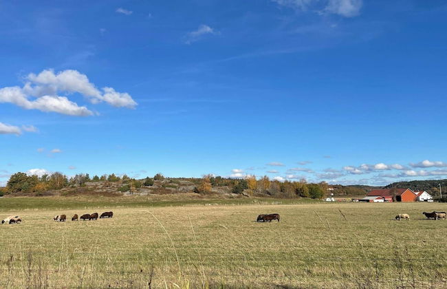 5 Person Holiday Home in Halta - Foto 13