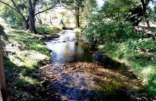 Casa Rural Los Olmos - Foto 28