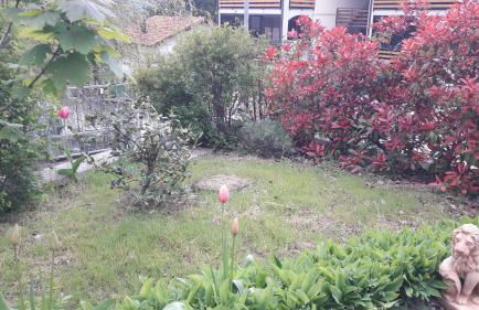 La gazza allegra - Foto 11