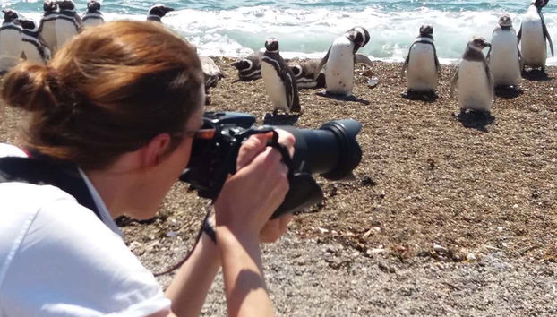 Estancia San Lorenzo Trip & Whale Watching - Foto 4
