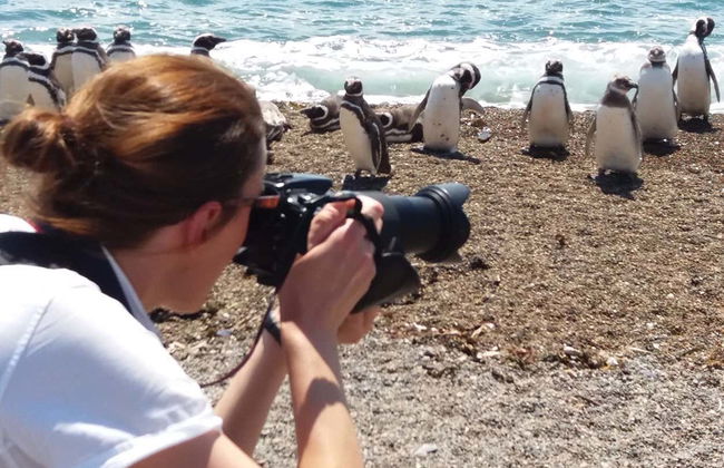 Estancia San Lorenzo Trip & Whale Watching - Foto 4