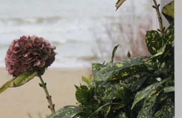 Sun Max- Appartamento vicino al mare per famiglie - Foto 13