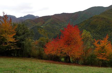 Viviendas Rurales Los Llares - Photo 34