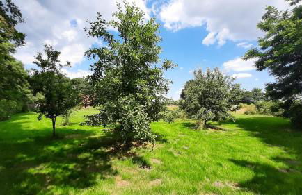 Landhaus SiebenEichen - Foto 41