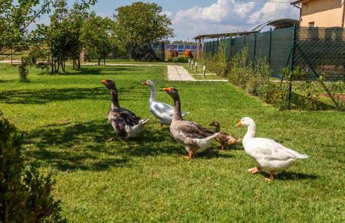 Agriturismo il Pollino - Foto 5