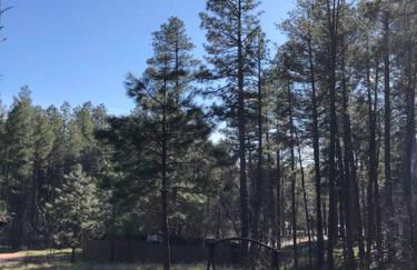 Forest Cabin 7 Seventh Heaven - Foto 15