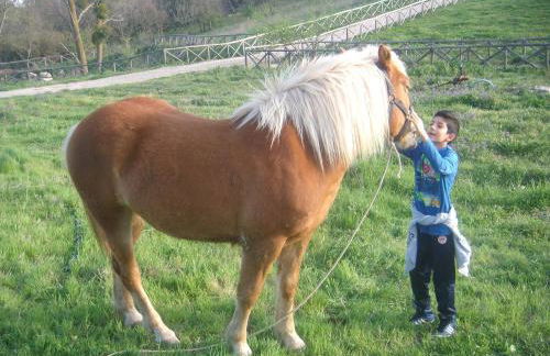 Aia di Lazzaro Agriturismo - Foto 38