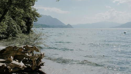 Villa Amatissima by Villa Porta Collection - Photo 2