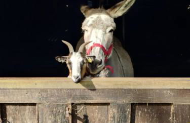 Le Bon Chemin gite - Foto 45