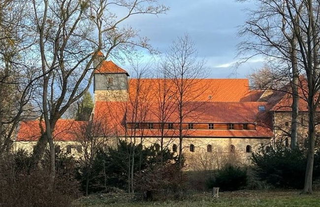 To Salamander No. 15a - Foto 20