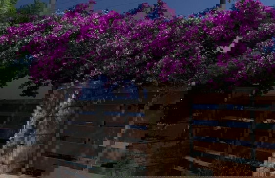 Villa Kea Mucobega - Foto 35