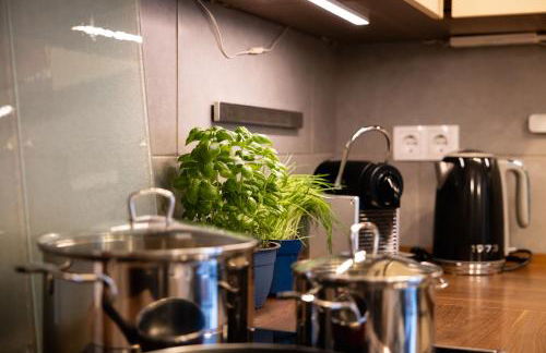 Große schöne Ferienwohnung mit kleinem Garten im Weinort Randersacker - Foto 8