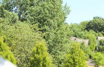 Ferienwohnung Gerolstein - Foto 15