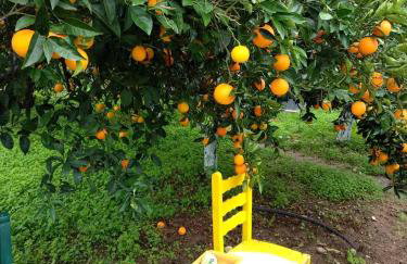 Villa Maria - Photo 43