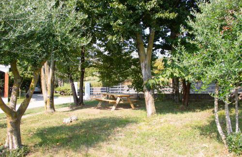 Al frutteto - Foto 48