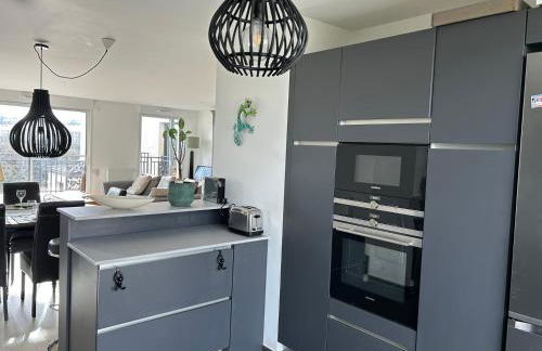 Spacious apartment - gates of paris - Foto 12