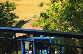 Make yourself at home in Halkidiki's paradise - Foto 6