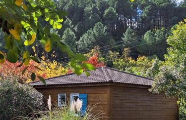 Sud Ardeche joli chalet clim piscine rivière LE CERF Village du serre - Photo 2